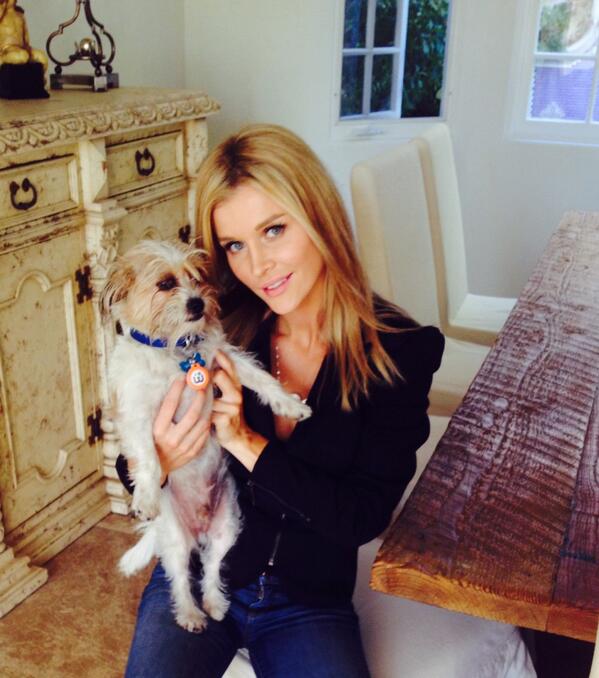 joannakrupa's tweet photo. Help needy dogs http://t.co/KP5PJoB0kS-Buy a Charm-Save a Dog-Support Adoption &amp; @WagAware donates 50% of profits! http://t.co/deuckqtq7i