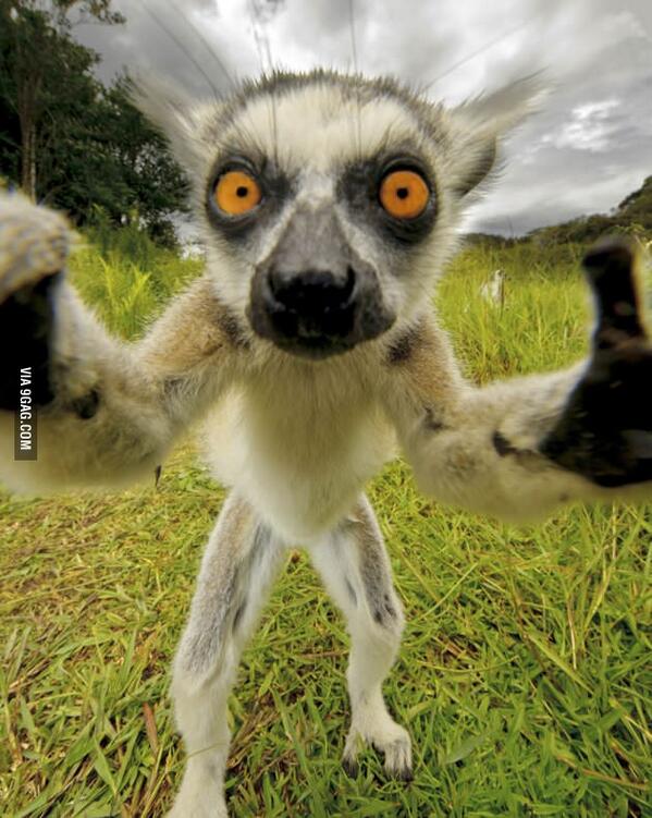 This is what guys look like when trying to take selfies...