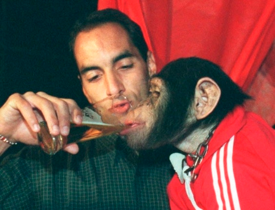 MANCHETEREVISTA's tweet image. TCHORA INSTITUTO ROYAL