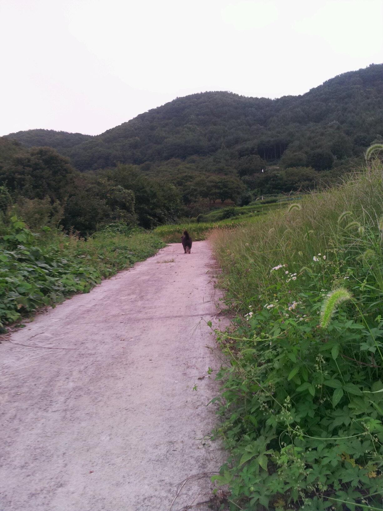 담아간 이미지 고유 주소