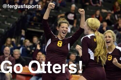 Fergus Falls Sports tweet media