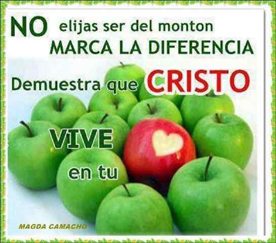 danielcel78's tweet image. Es chevere