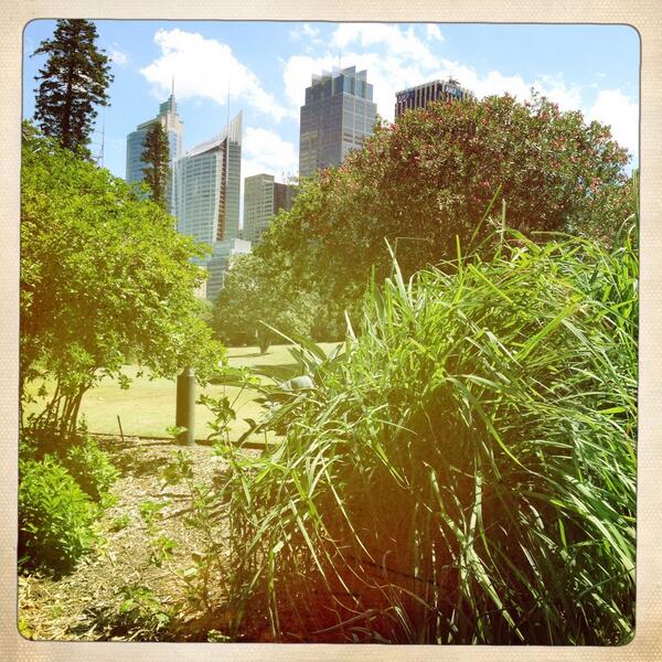 ecosse88's tweet photo. Outdoor sex very risky watch out for exotic plants http://t.co/WL4fIdZeWm