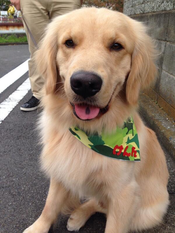 do_butsukun_tx's tweet photo. けんたくん本日は神奈川県におじゃましています！
今日も元気いっぱい！ http://t.co/07ISS4Vh8t