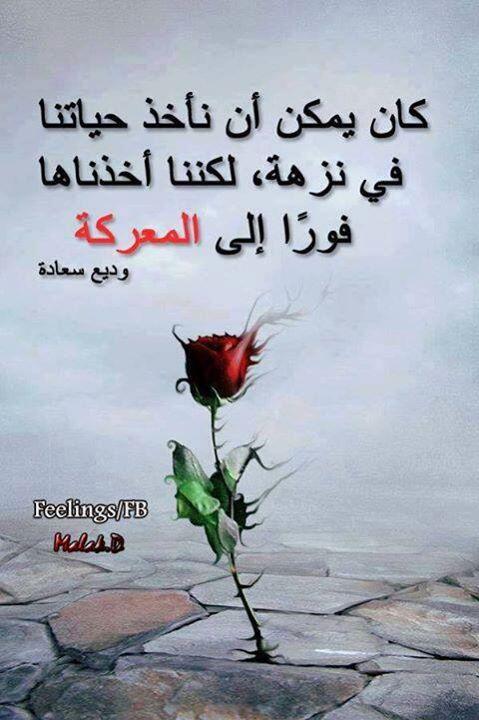 AlkingMu tweet picture