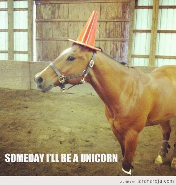 emiliogranero's tweet photo. "@Colmenero: Un caballo + Arbeloa = Unicornio. http://t.co/IDhnbUwu71" @bertran29 @FranFR15 @eloyseba7 @charlio31