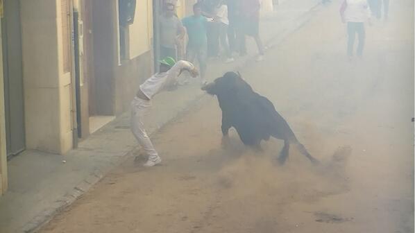 FXVideosToros's tweet photo. Salida del primer cerril esta mañana en Vinalesa http://t.co/tSlcxmQigr