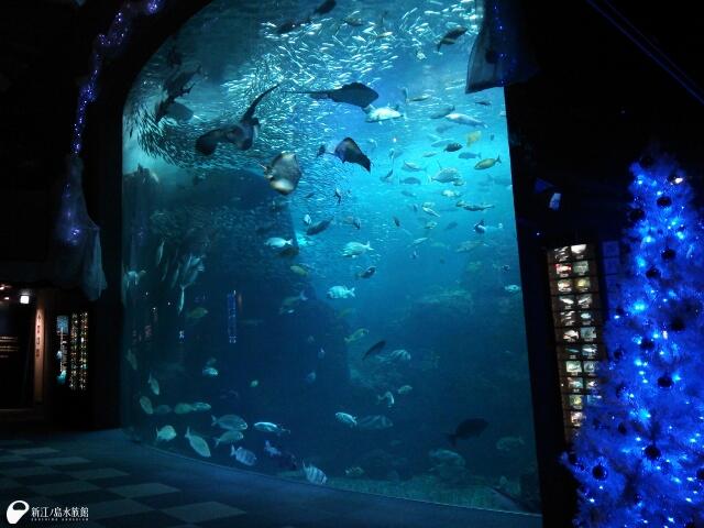 新江ノ島水族館 すでに館内はクリスマスの雰囲気で メリークリスマス In 新江ノ島水族館 13 Pc スマホ Http T Co Swznwqttmp 携帯 Http T Co Aezwotmxbw Http T Co Jwxje75hvs Twitter