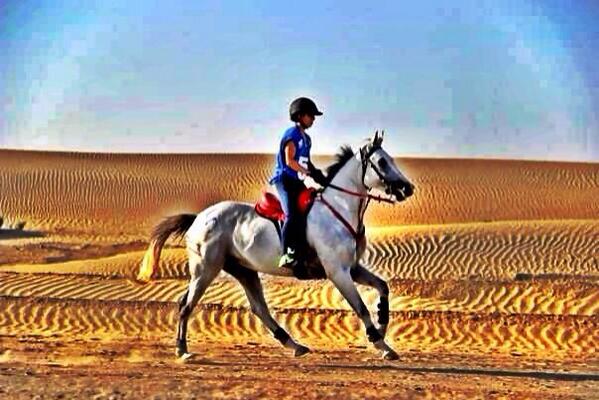 Cavalosuae's tweet photo. Shoug  Alnowais riding in Setzi Balente in Bouthib #cavalos #setzi  #uae #abudhabi http://t.co/9fsTzrLq8V