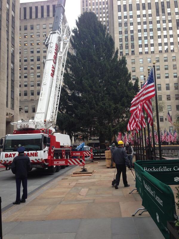 Simon Foster tweet media