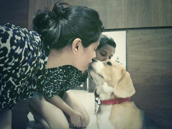 Permalien de l'image intgre