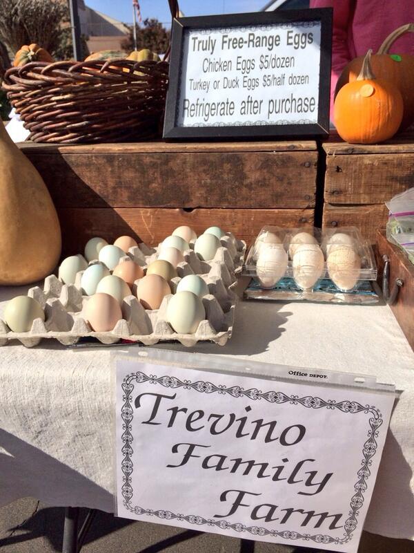 OldTownClovis's tweet photo. Are you looking for free-range chicken, turkey or duck eggs? Our newest vendor has them for you. http://t.co/CRpsrAnkLV