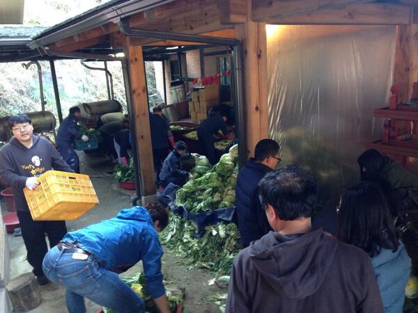 YurisNightKorea's tweet photo. 장애우보호시설에 김장담그기 봉사활동을 왔습니다~~ 배추가 가득! ���아요!! http://t.co/mFzifGpeFf