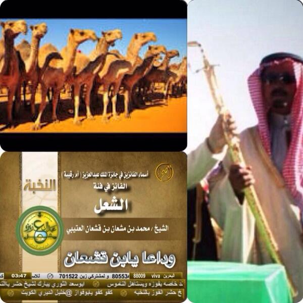 _achgchil's tweet photo. يستاهل الوسام راع الشعل ❤️ http://t.co/tMhWbOA7nh