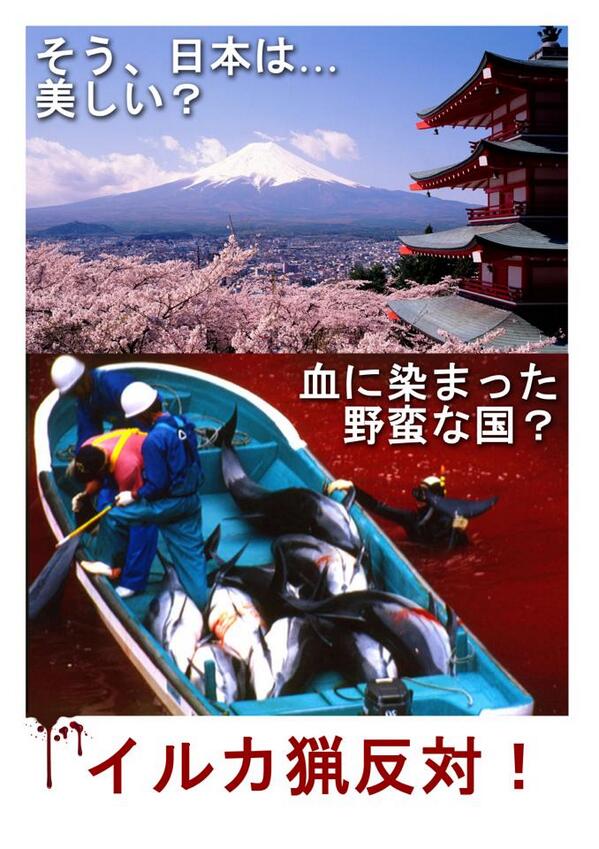 ujajura's tweet photo. 🌏❤🐬🇯🇵🐬🐳Honor All Japan  Anipals rock! world work❤ together http://t.co/0R8tTx58mB #ShutTaijiDown http://t.co/Kzwsh6oIVp