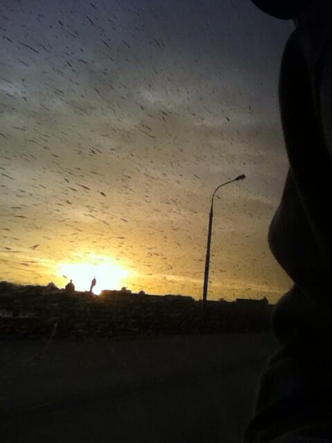 Stis_Ender's tweet photo. Утренний Апокалипсис =D http://t.co/SF0UX7C2TV