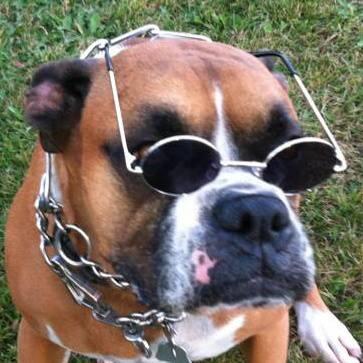 Omg Bella is so funny