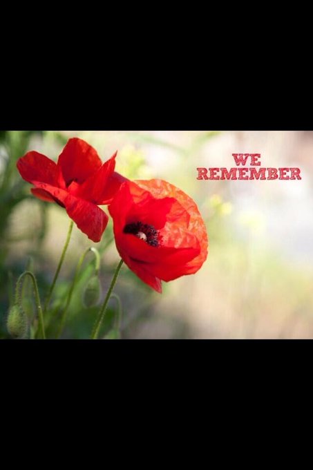 #RemembranceSunday                       Lest we forget ??❤️!! http://t.co/ItxVaK7wfX