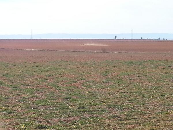 pablojmcs's tweet photo. Viendo algunas carreras de galgos!!!! http://t.co/racApltGvy
