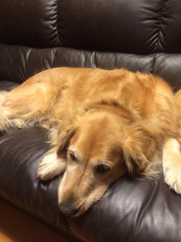 小林勇太 Ykhagkkkkl Twitter