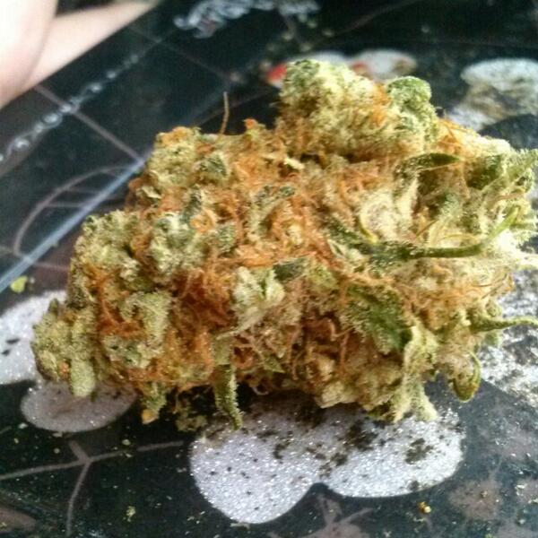 In daylight with no flash... Massive hairs & #THCcrystals <3 mmm #smokeDank #getHIGH