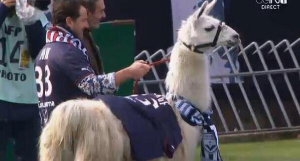 M0tivacionesF's tweet photo. La llama que sacarón de fiesta unos adolescentes, ha hecho el saque de honor en el Girondins-Nantes. http://t.co/IHw4R9Bdz7
