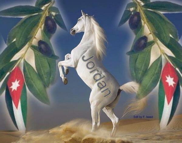 shadiqutishat's tweet photo. http://t.co/QG8E6w14ew