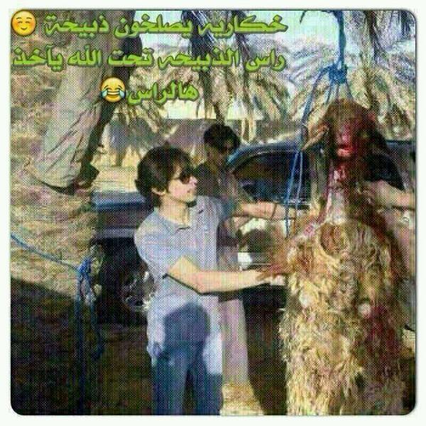 مكلبش نمله Gfhfdrsr Twitter
