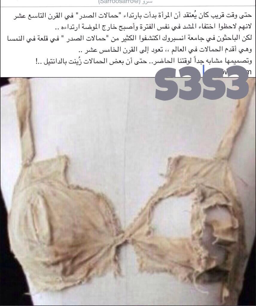 رابط دائم للصورة المُضمّنة