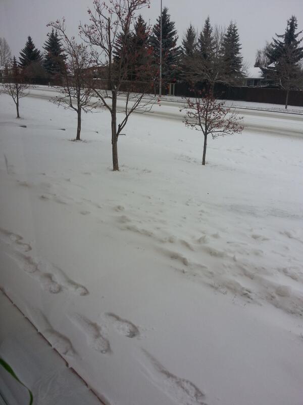 It looks like winter this morning!!!