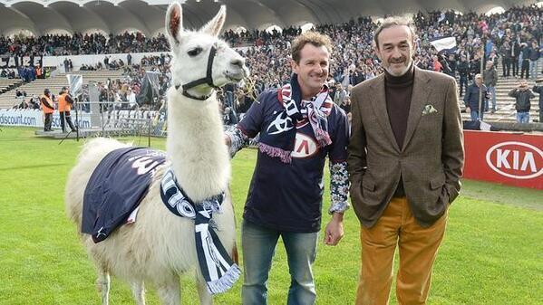 M0tivacionesF's tweet photo. La llama que fue robada de un circo por unos jovenes franceses hizo el saque de honor en el partido Girondins-Nantes: http://t.co/lxh5uyzon2