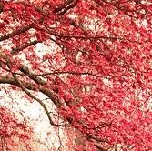 xframma's tweet image. #photothree