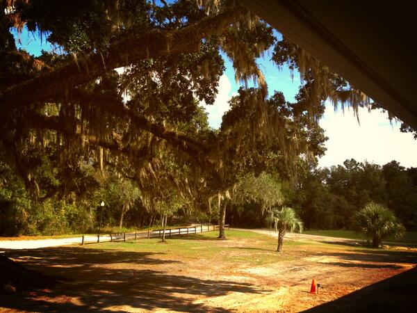 InterventionsFL's tweet photo. @TheRefuge_FL it's a beautiful day on property today! http://t.co/WdlkOXuAMy