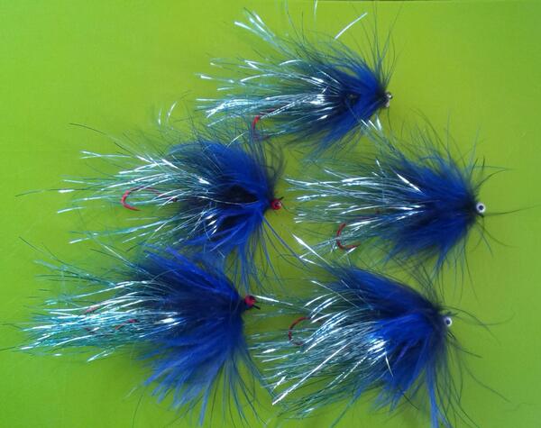 clausarnfeldt's tweet photo. Some big bad boys ready for dirty water conditions on Hoh and Sol Duc. Go Deep and hang on! #steelhead #chinook http://t.co/mPb11bwa75