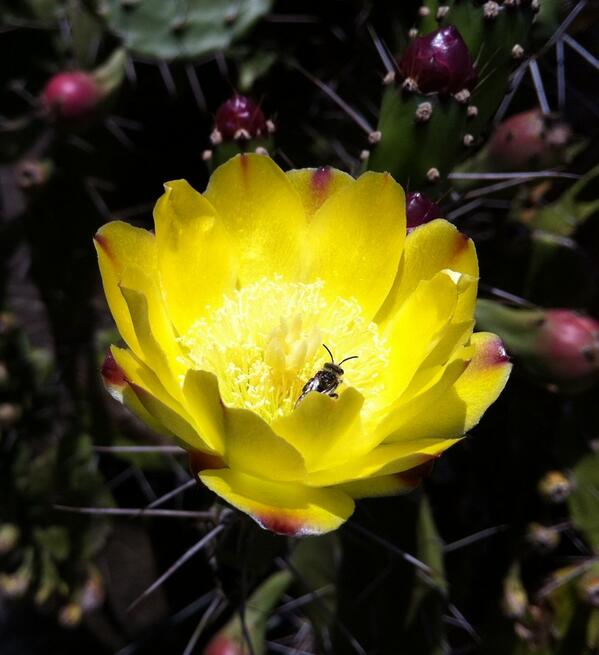 Arno Paupitz tweet media