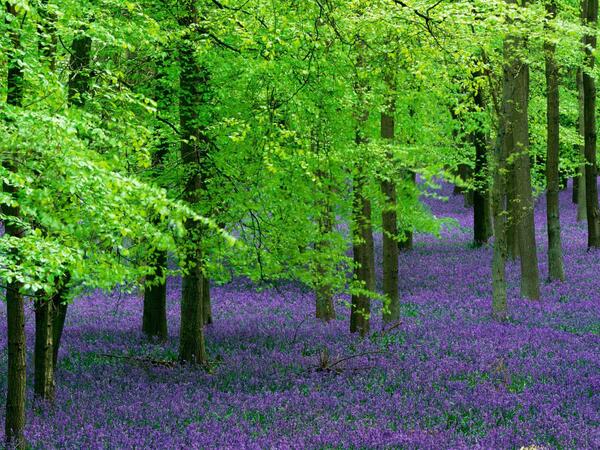EarthScenery's tweet photo. http://t.co/YtpaxyzLOx