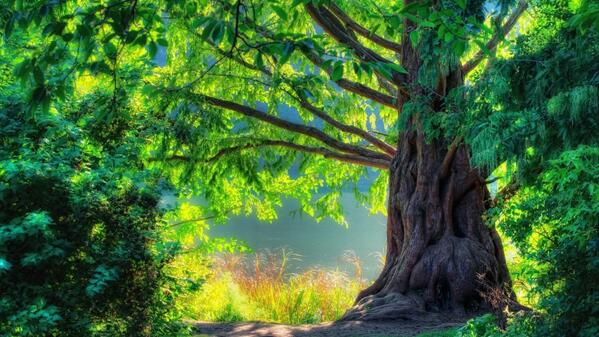 EarthScenery's tweet photo. http://t.co/KgJEvtJhmi