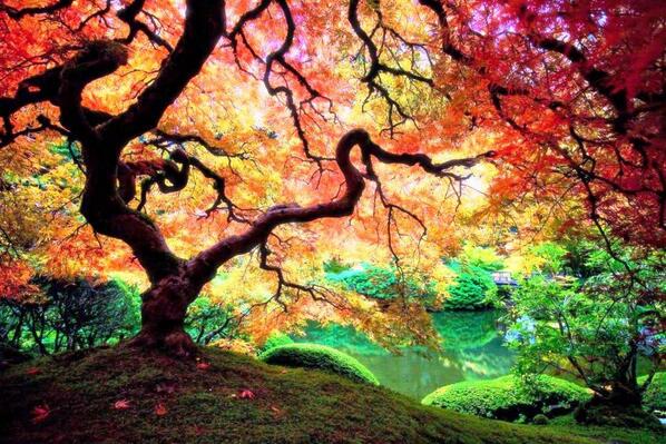 EarthScenery's tweet photo. http://t.co/nrb6UjZzQ1