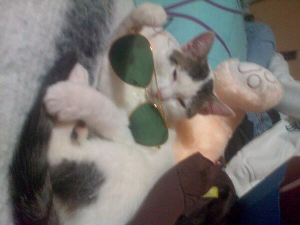 johanitaporte's tweet photo. http://t.co/bY316UpCrJ