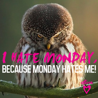 divaaccessories's tweet photo. We hope your Monday morning hasn't been as wet as ours!!! #ihatemondays #diva #divaaccessories http://t.co/JNe7zOYQv3