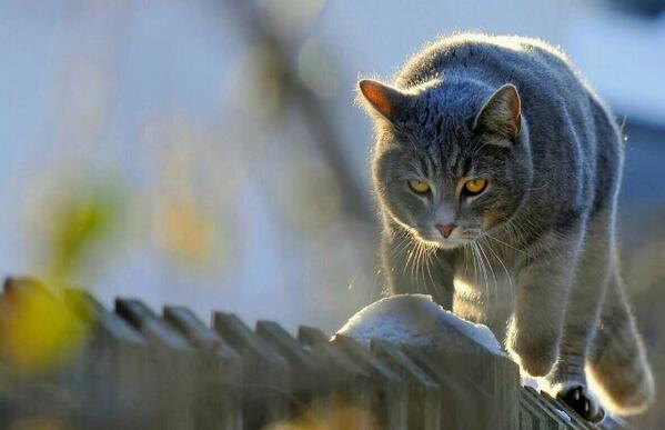 firsssovvva's tweet image. Вот и новый день подкрадывается:-) #доброеутра