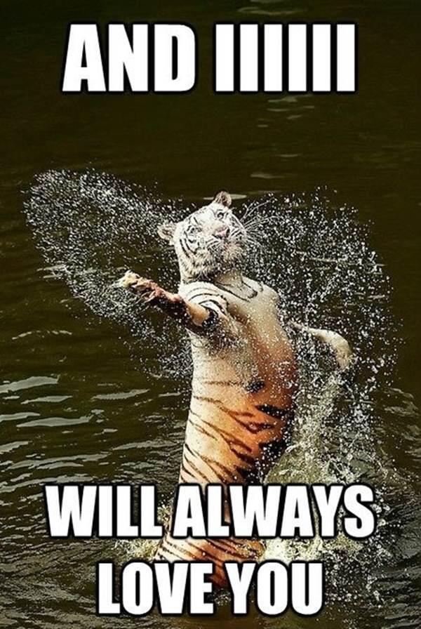 AfghanHumor tweet picture