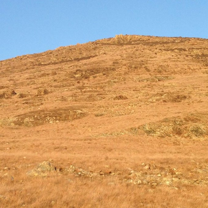 Climbed this mountain from the side off the trail going straight up! My ass got a work out for sure today