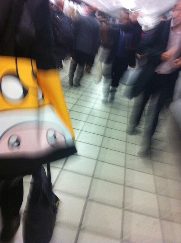 RuthMKnowles's tweet image. Woman in front sporting a moo-vellous cow bag. It's like she knew I was on way to see @SteveColeBooks #CowsInAction