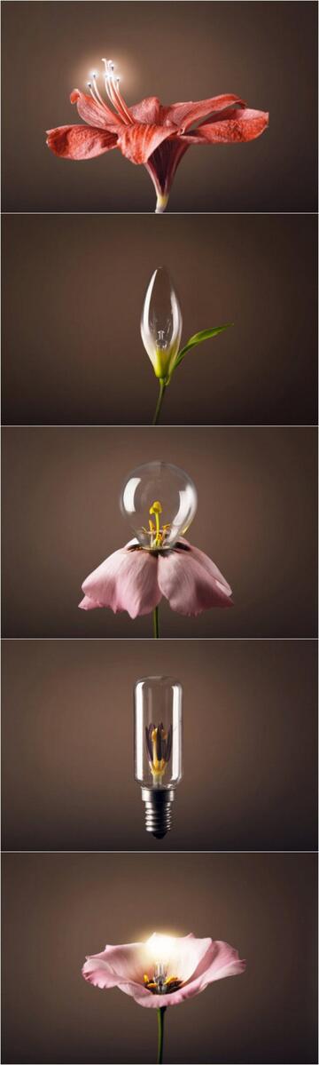 makepolocom's tweet image. Are they flowers? Or lamps? makepolo.com/Table-Lamps-Re…