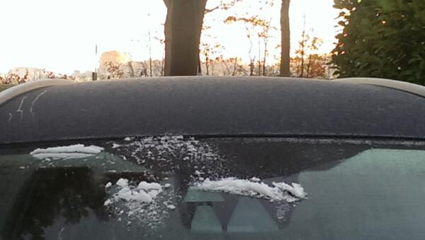 ddeboom's tweet image. 1e keer krabben. Héérlijk laat de winter maar komen! Alles begint met een keuze.