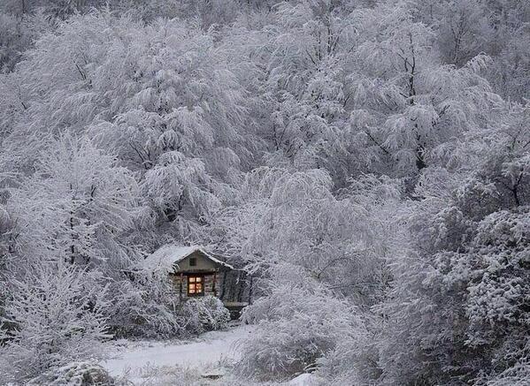 Carloslt_'s tweet photo. "@_Paisajes_: Invierno en Japón http://t.co/F8UOxgLRrJ" @blancagp4 como en  chelva ;)