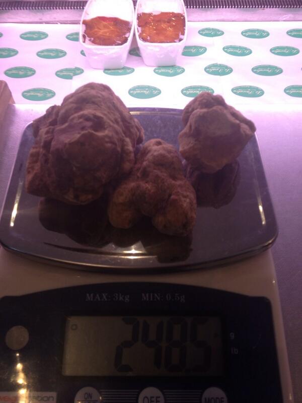 LePascalouShop's tweet photo. Late delivery this morning, 3 truffles, 245g, 5 minutes and sold already!!! http://t.co/sFac4gWrKT
