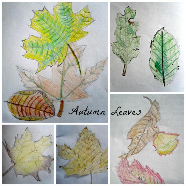 DGSArt's tweet photo. A chilly morning, made all the more cosy from a wee look of some lovely S2 drawings of  Autumnal leaves... http://t.co/2C0n3fg131