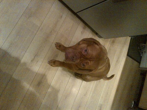 casebarkley_97's tweet photo. Why does she always look so cute and innocent! http://t.co/kd9rBZB8bo